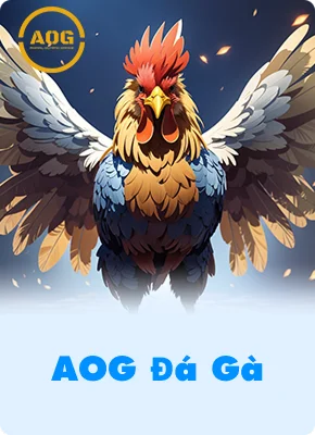 AOG Đá Gà